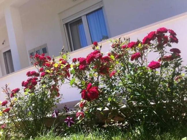 Villa Markic Drvenik  Bagian luar foto